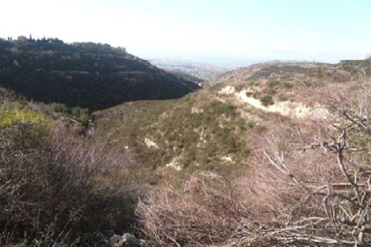 Land in Paphos Municipality