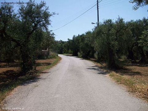Land in Planos