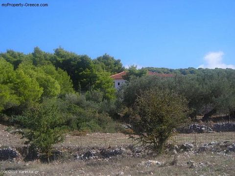 Land in Agios Leon