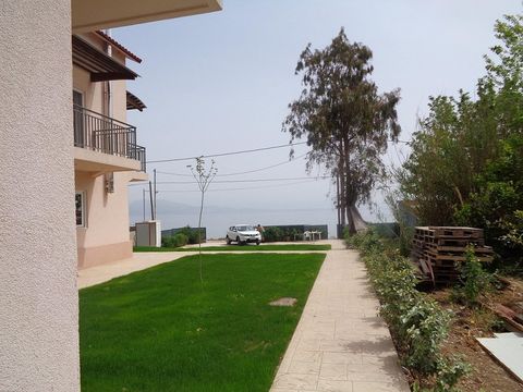 Detached house in Valimitika
