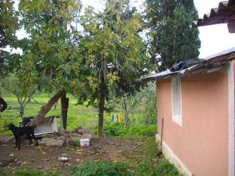 Apartment in Galaro 