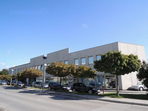Office in Ljubljana