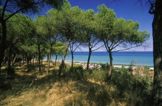 Apartment in Pescara