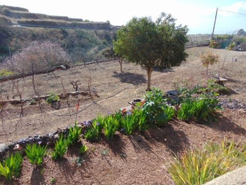 Land in Granadilla de Abona