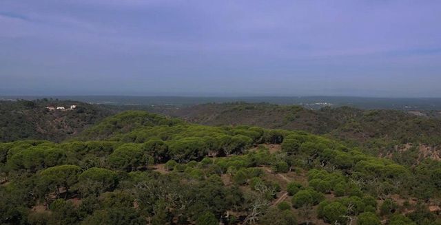 Land in Setúbal