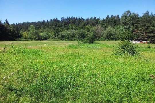 Land in Domzale