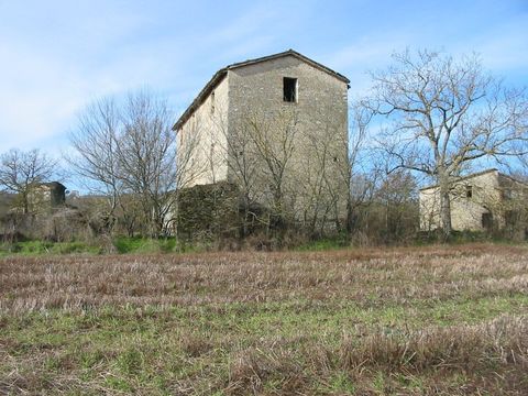 Estate in Massa Martana