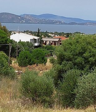 Land in Nea Makri