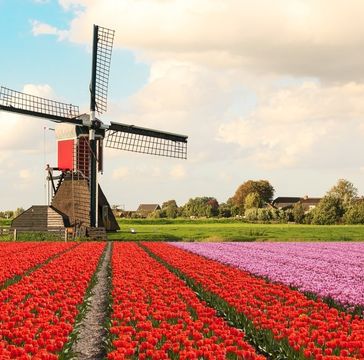 Dutch property rapidly increases in price