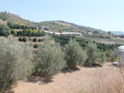 Land in Gazipaşa