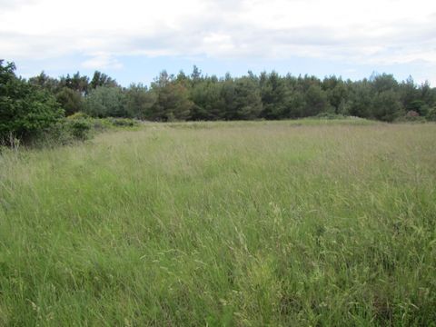 Land in Vir