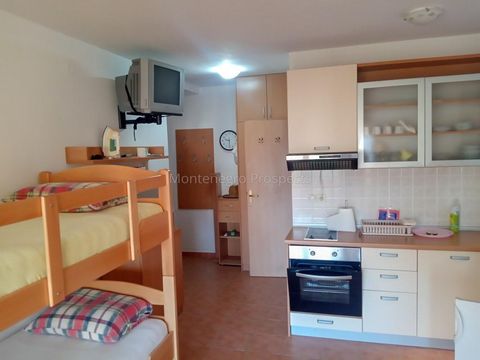 Apartment in Petrovac