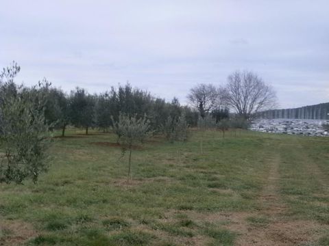 Land in Pula