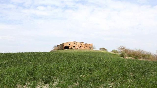 Apartment in Monteroni d'Arbia