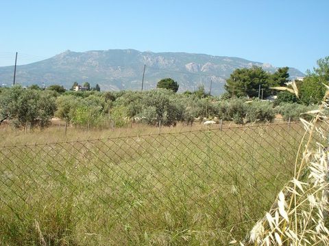 Land in Loutraki