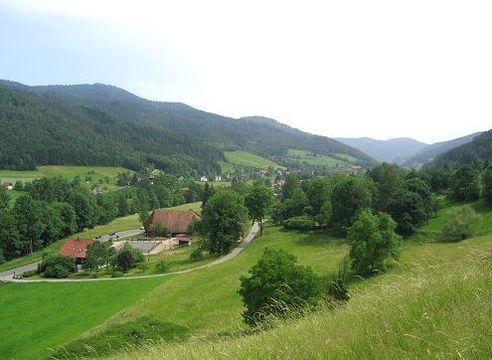 Apartment house in Gutach