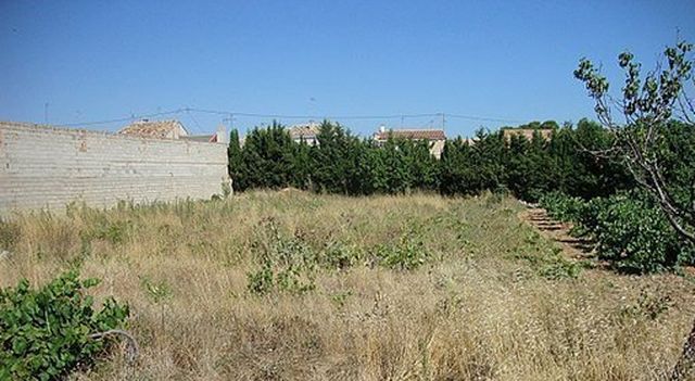 Land in Requena