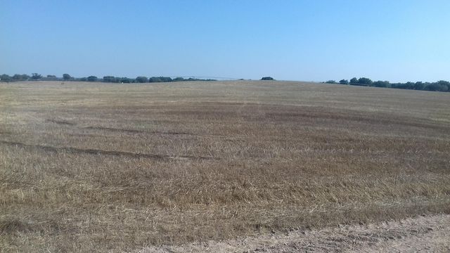 Farm in Ferreira do Alentejo