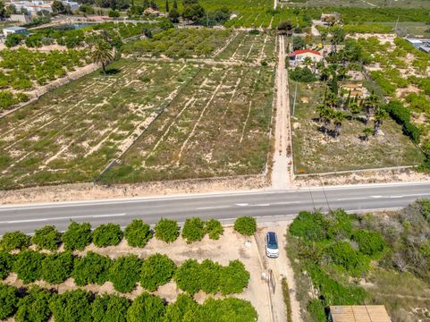 Land in Algorfa