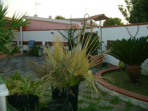 Villa in Scalea