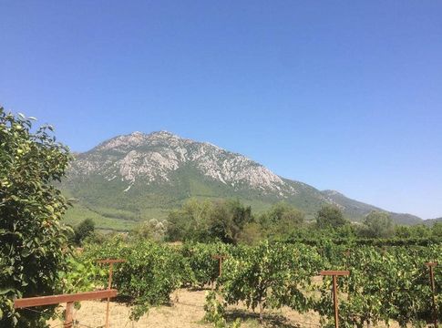 Land in Kesikkapı Mah.