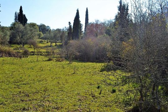 Land in Kerkyra