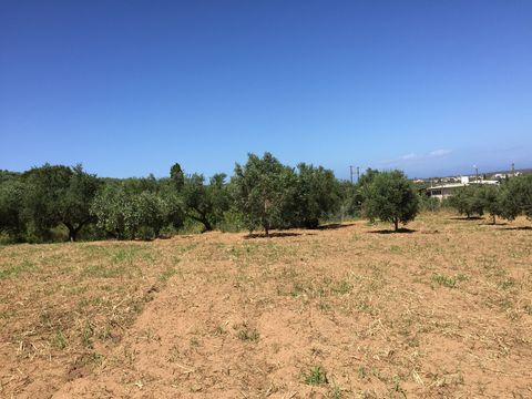 Land in Kato Panagia