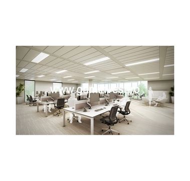 Office in Oradea