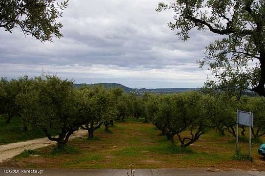 Land in Agioi Pantes