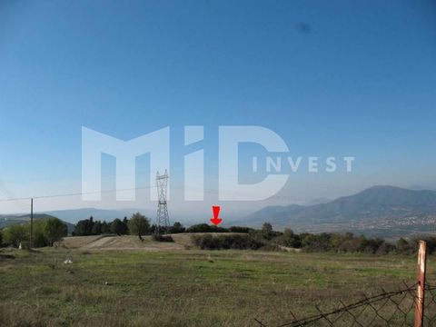 Land in Anthemountas