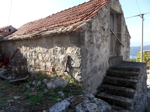 House in Dubravica