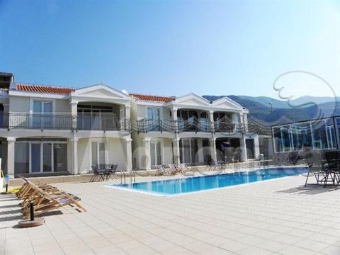 Detached house in Budva
