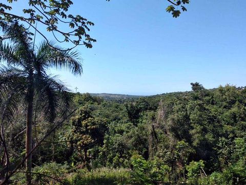 Land in Puerto Plata
