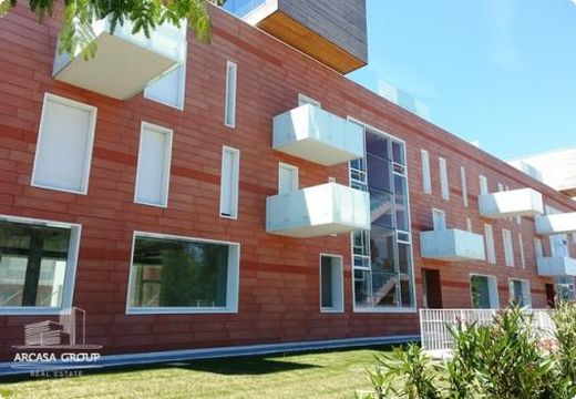 Apartment in Calambrone