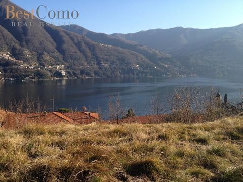 Land in Laglio