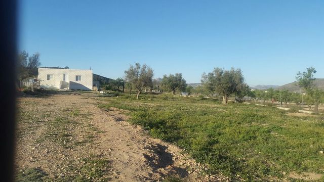 House in Hondon de las Nieves