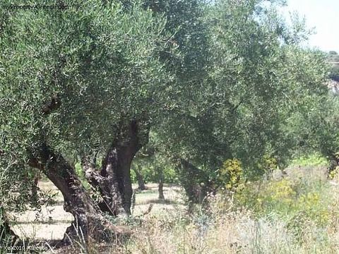 Land in Argassi 