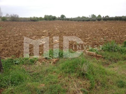 Land in Thermi