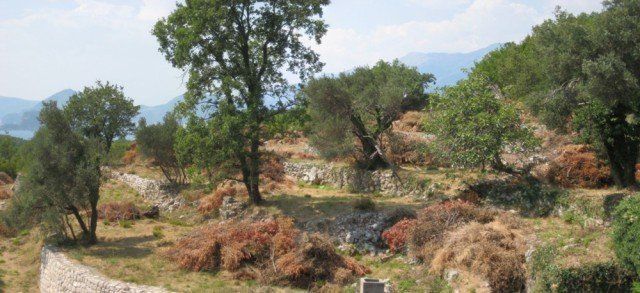 Land in Rijeka Reževići
