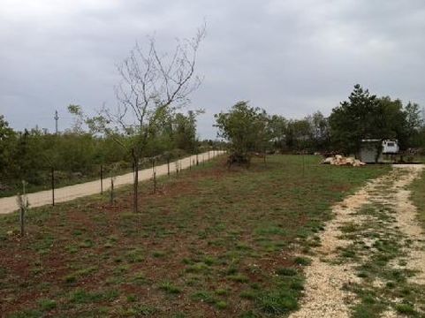 Land in Pula
