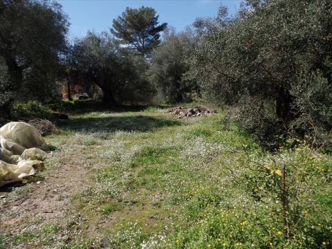 Land in Kerkyra