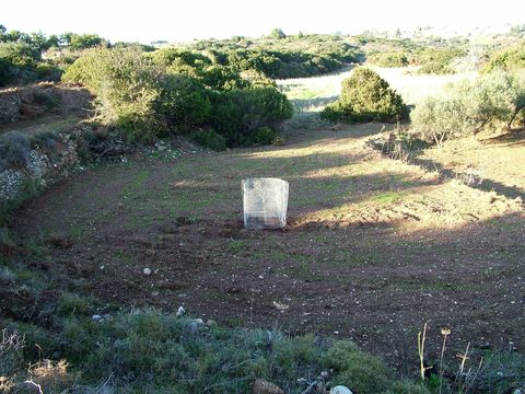 Land in Logothetianika