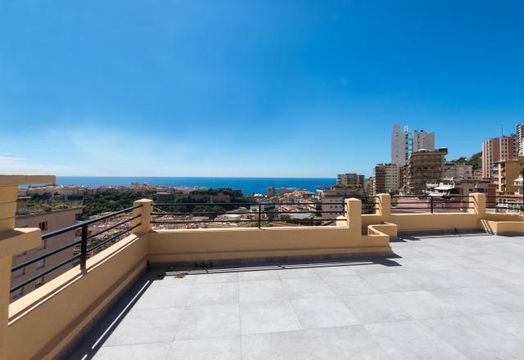 Penthouse in Monaco