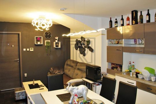 Apartment in Ljubljana